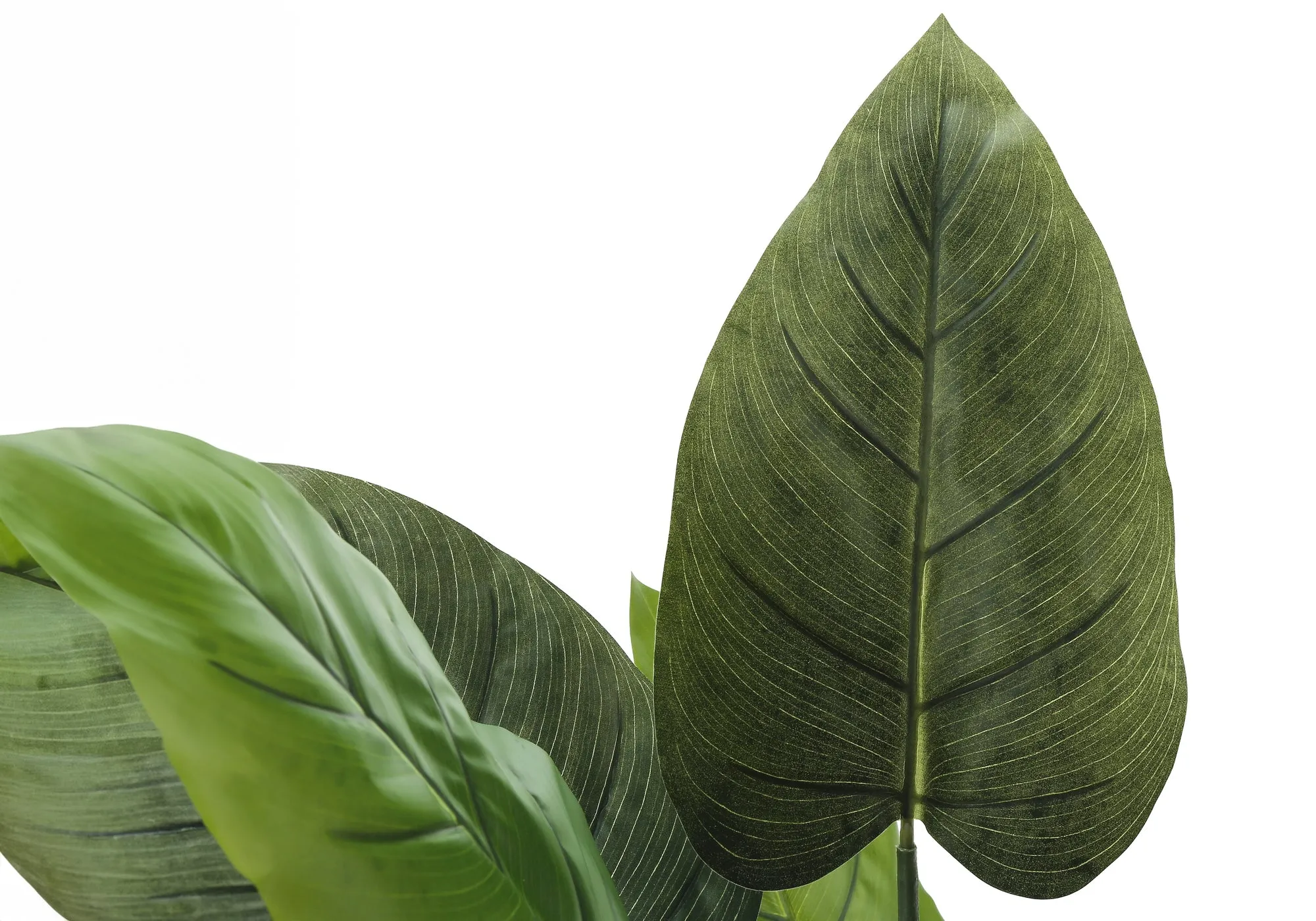 Artificial Plant, 37" Tall, Aureum Tree, Indoor, Faux, Fake, Floor, Greenery, Potted, Real Touch, Decorative, Green Leaves, Black Pot