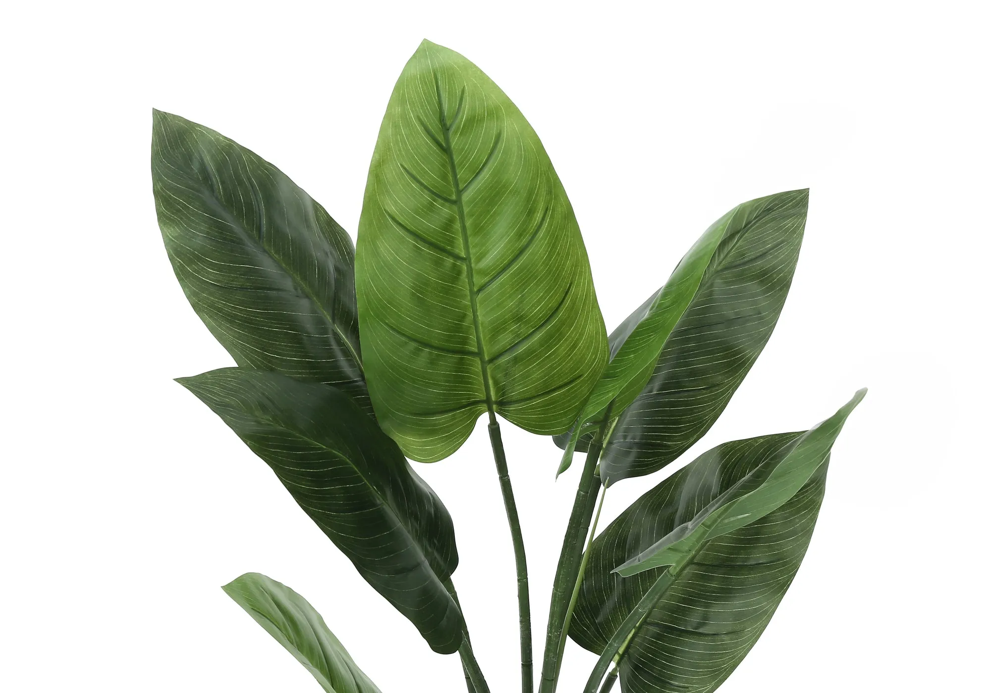 Artificial Plant, 37" Tall, Aureum Tree, Indoor, Faux, Fake, Floor, Greenery, Potted, Real Touch, Decorative, Green Leaves, Black Pot
