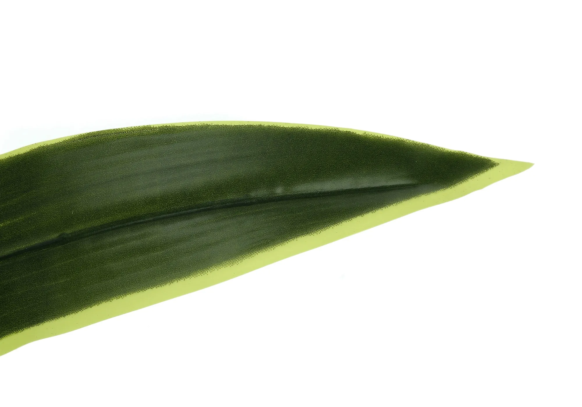 Artificial Plant, 47" Tall, Dracaena Tree, Indoor, Faux, Fake, Floor, Greenery, Potted, Real Touch, Decorative, Green Leaves, Black Pot