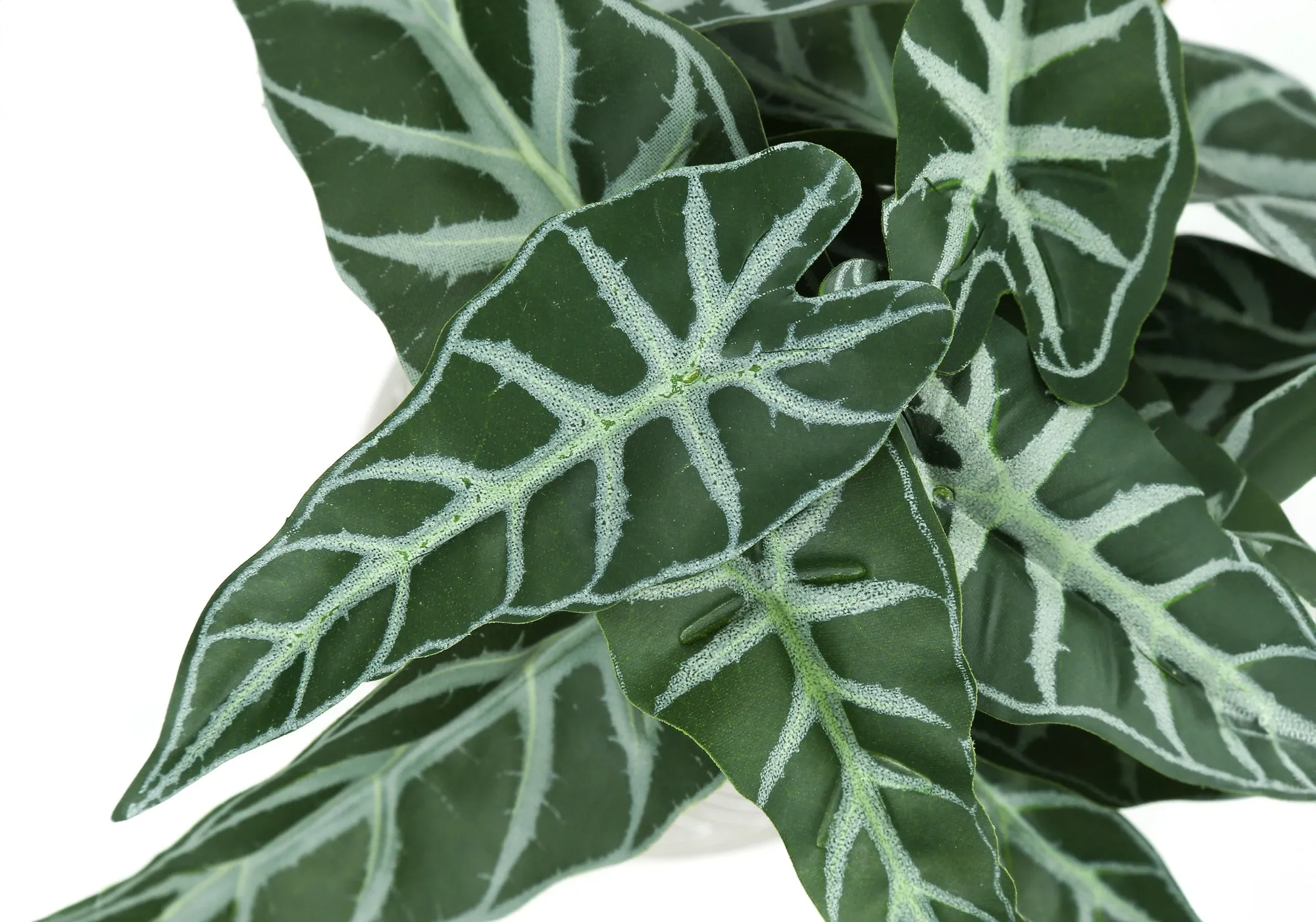 Artificial Plant, 8" Tall, Alocasia, Indoor, Faux, Fake, Table, Greenery, Potted, Set Of 2, Decorative, Green Leaves, White Cement Pots