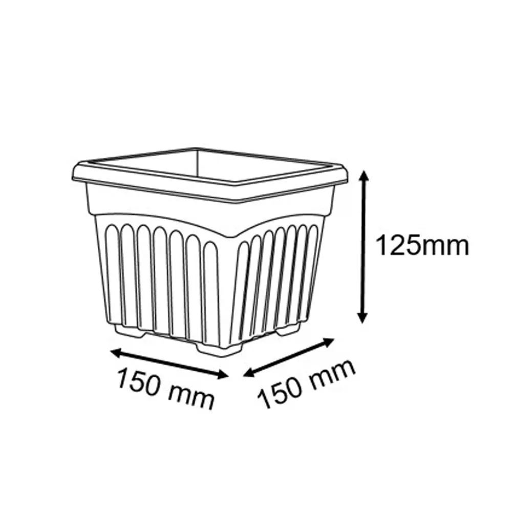 BI-SQ-150 Biodegradable Square Planter Pot 150mm