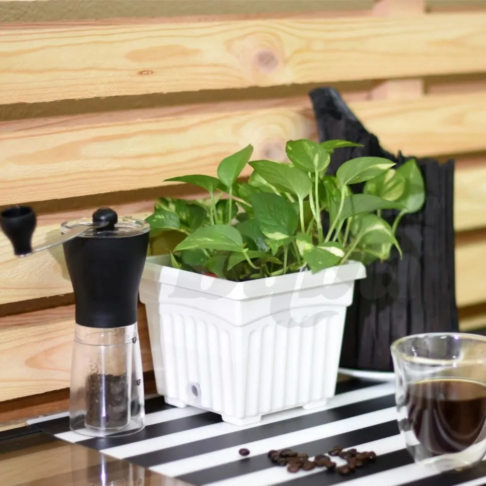 BI-SQ-150 Biodegradable Square Planter Pot 150mm