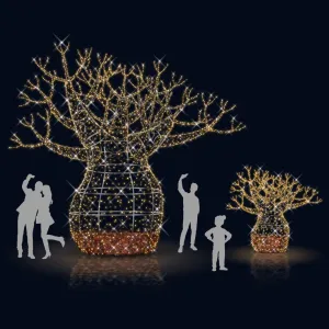 BOABAB TREE