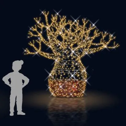 BOABAB TREE