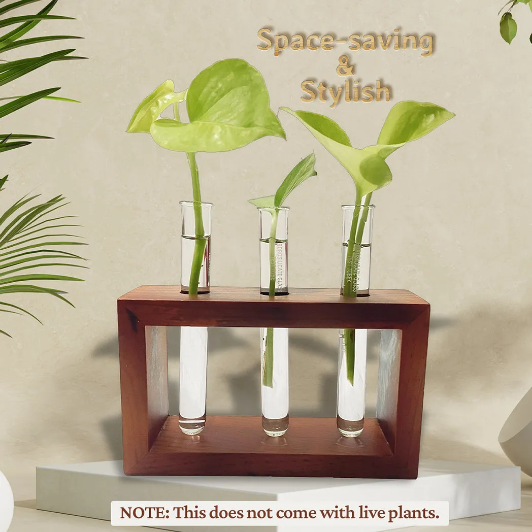 Bombay Greens Test Tube Planter with Wooden Holder