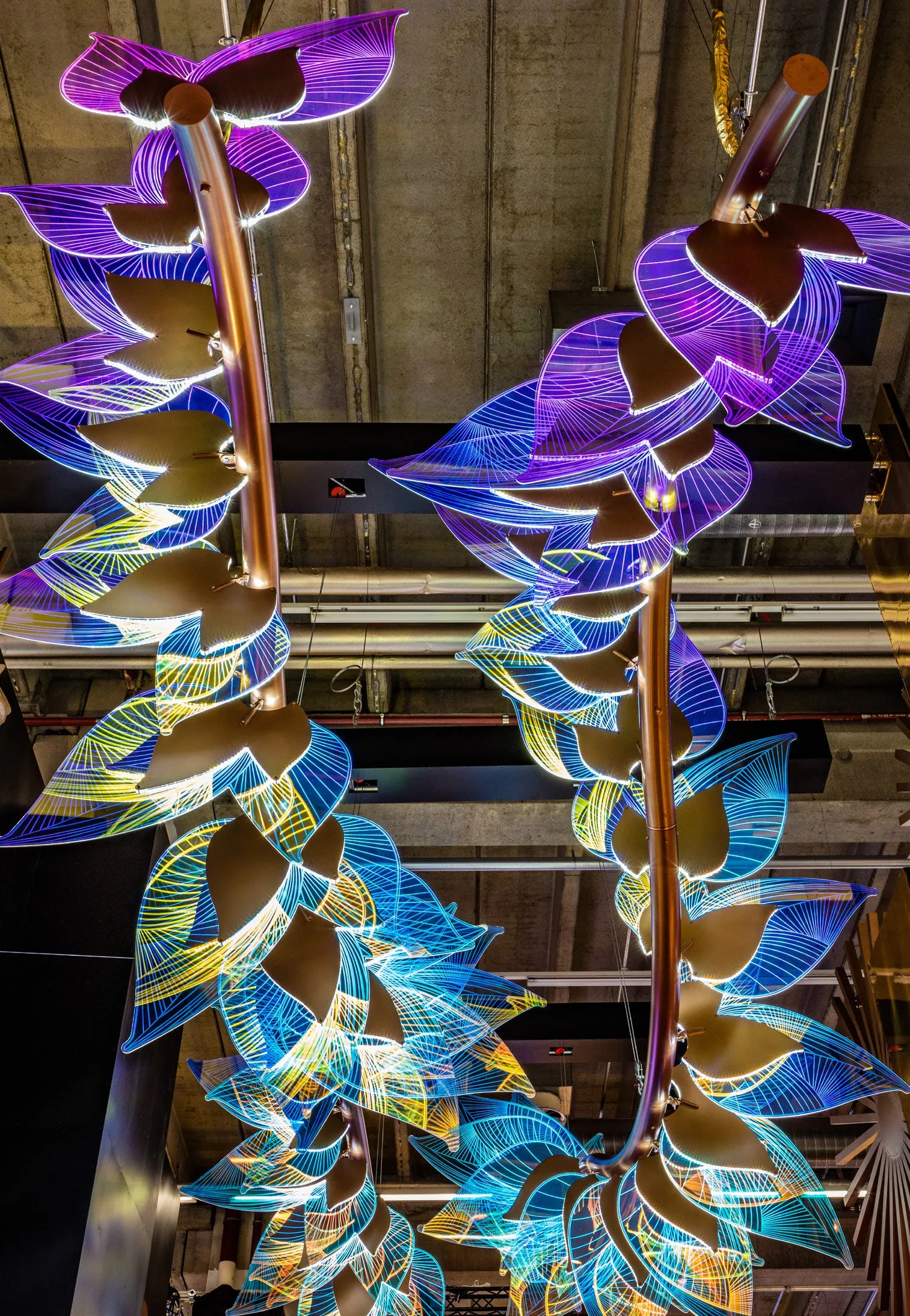 CRYSTAL VINE