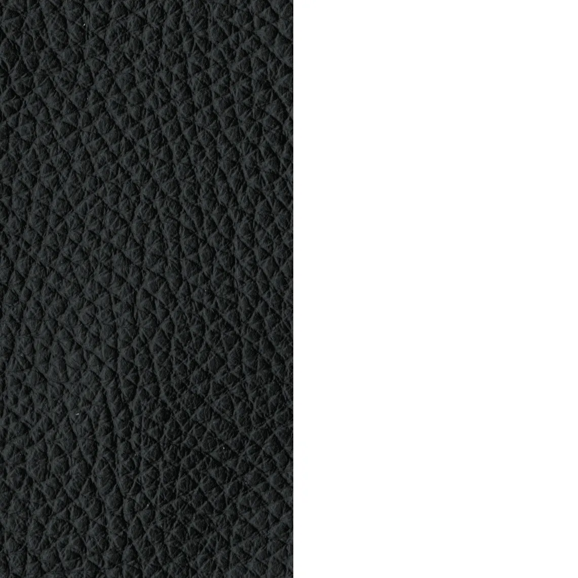 E015 Embrace Lounge Chair