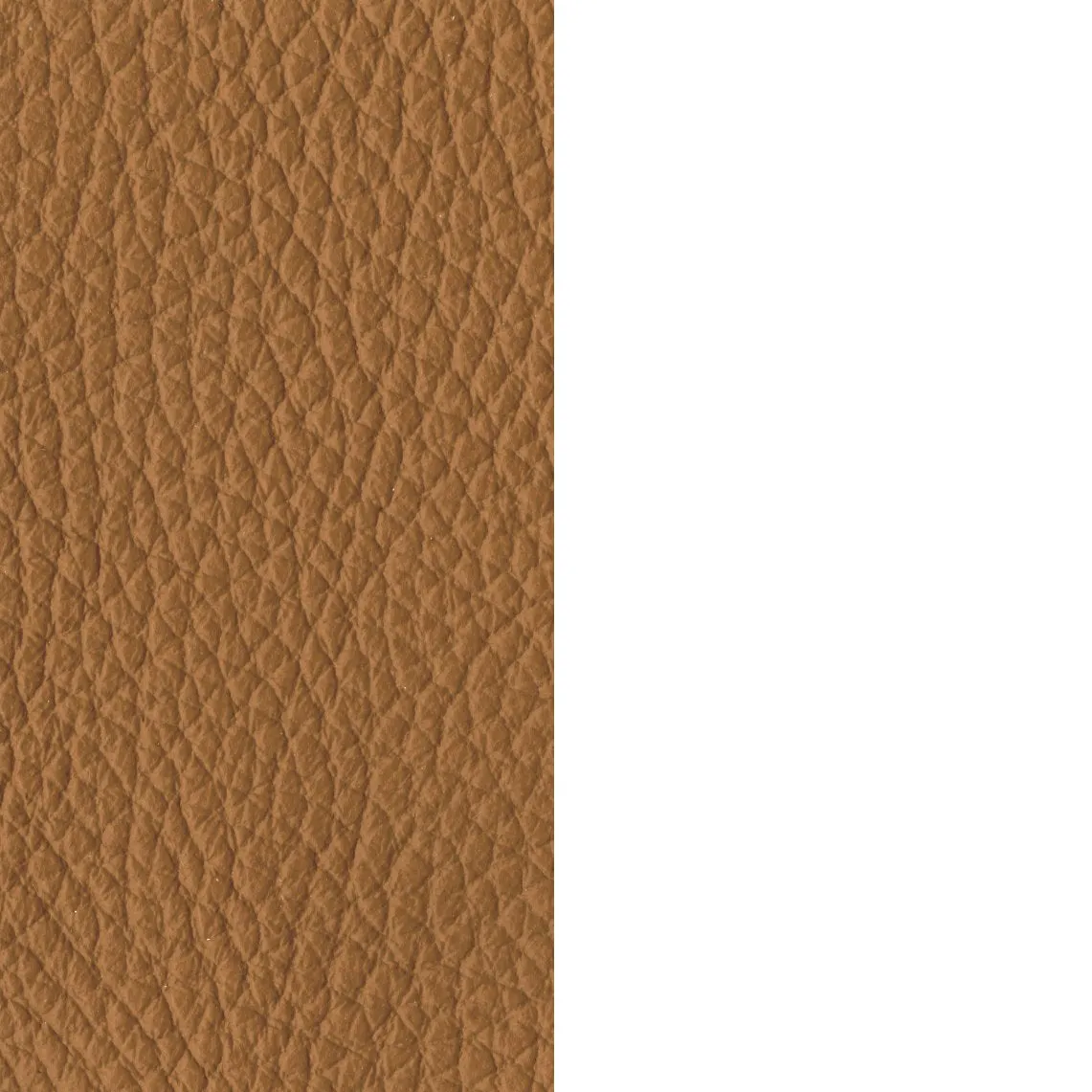E015 Embrace Lounge Chair