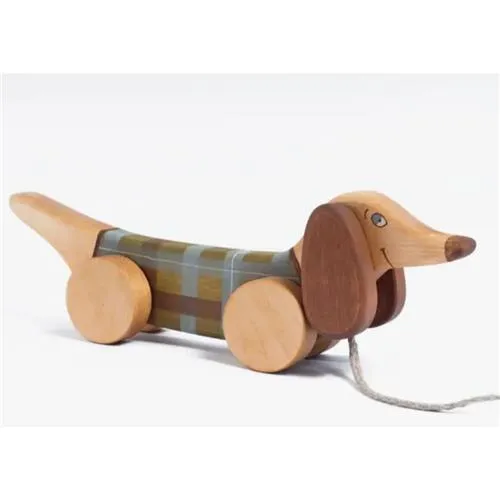 Friendly Toys Pull Toy