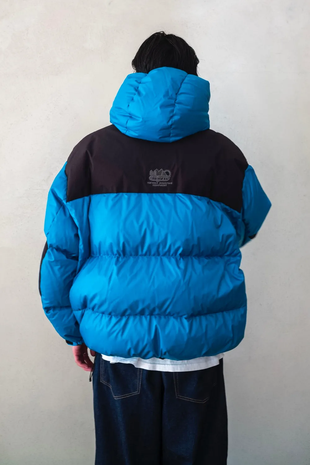FUNCTIONAL DOWN JACKET is-ness×NANGA