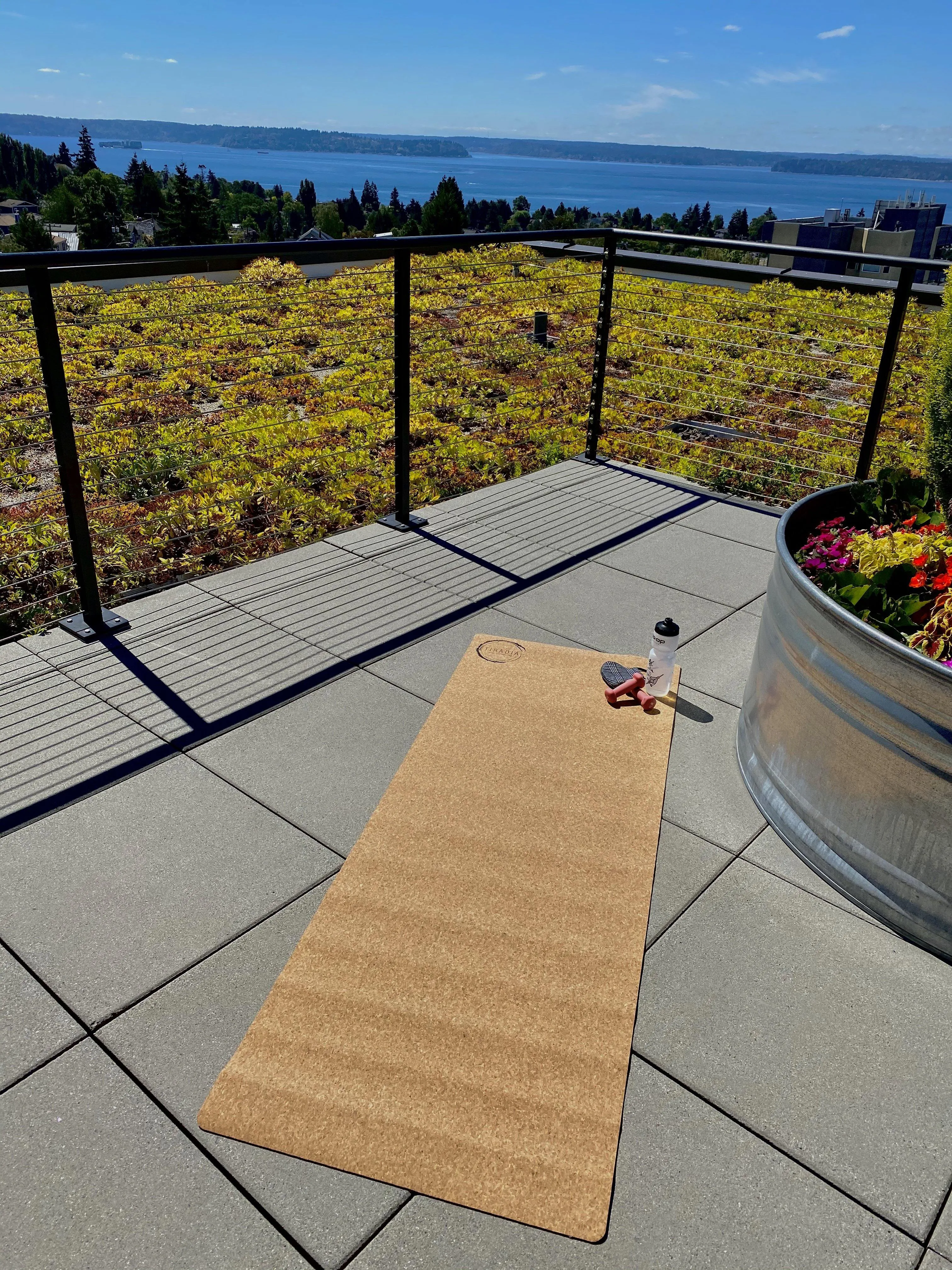 Get a Grip! Cork Yoga Mat by Tiradia Cork