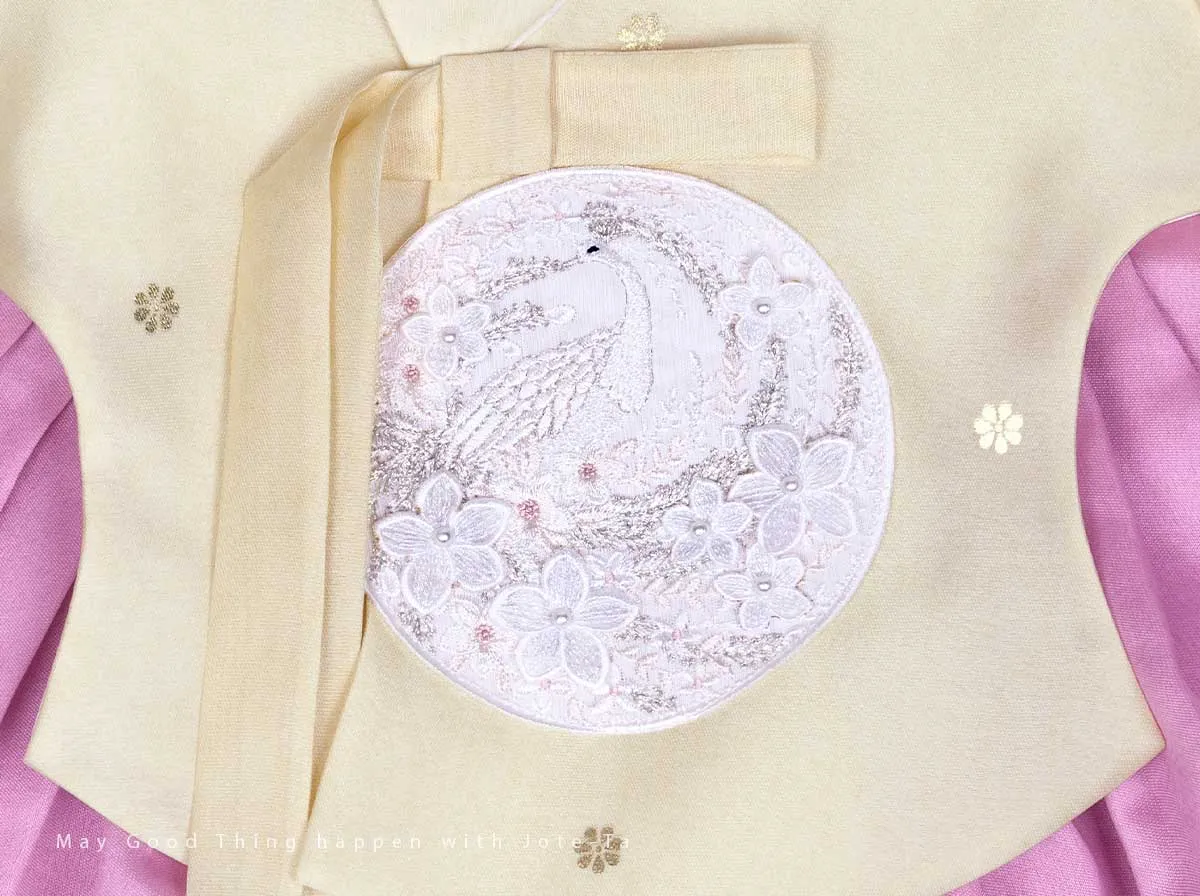 Graceful Girl Hanbok In Pink
