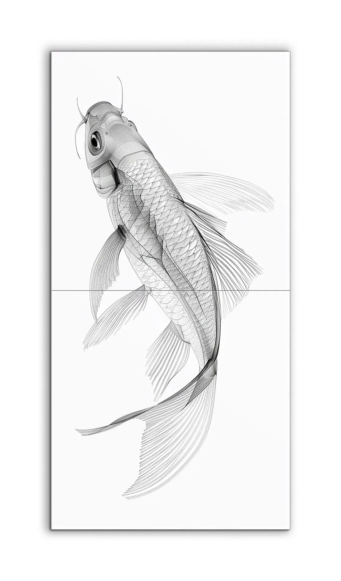 Graceful Koi: Monochrome Elegance