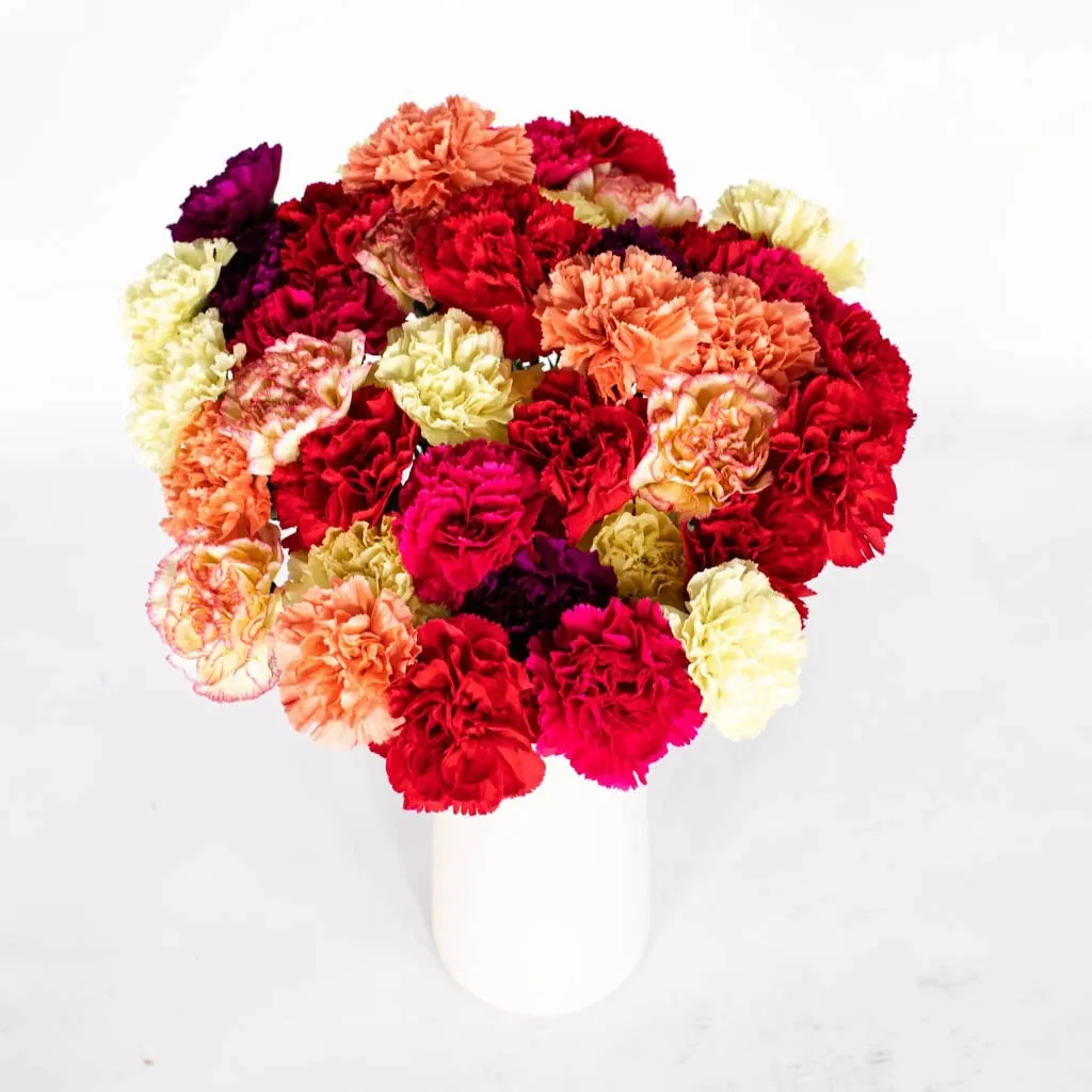 Graceful Mother's Day Carnation Flowers