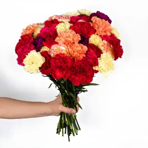 Graceful Mother's Day Carnation Flowers