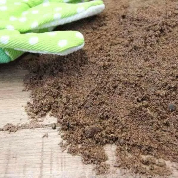 Grit Sand Sample
