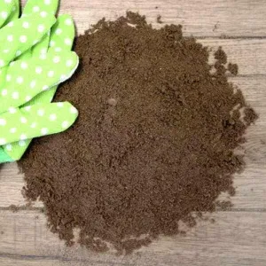Grit Sand Sample