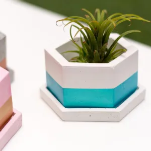 Hexagon Concrete Planter