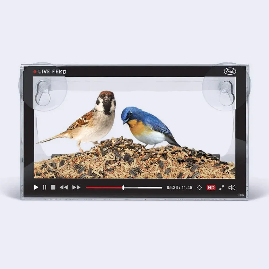 Howligans - Live Feed Bird Feeder