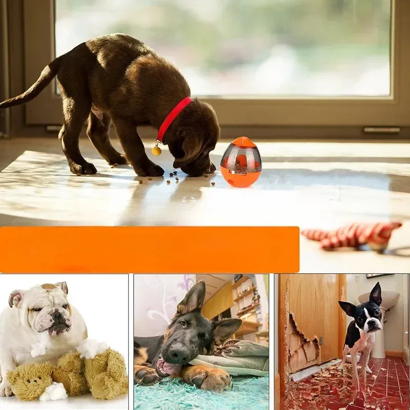 Interactive Leaky Ball for Smart Dogs