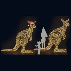 KANGAROOS
