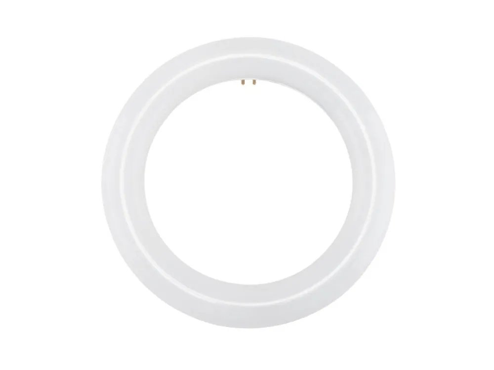 LED Circline T9 Bulb, 8 in. FC8T9/CW Replacement, 1200 Lumens, 4000K, Ballast Bypass, G10Q Base