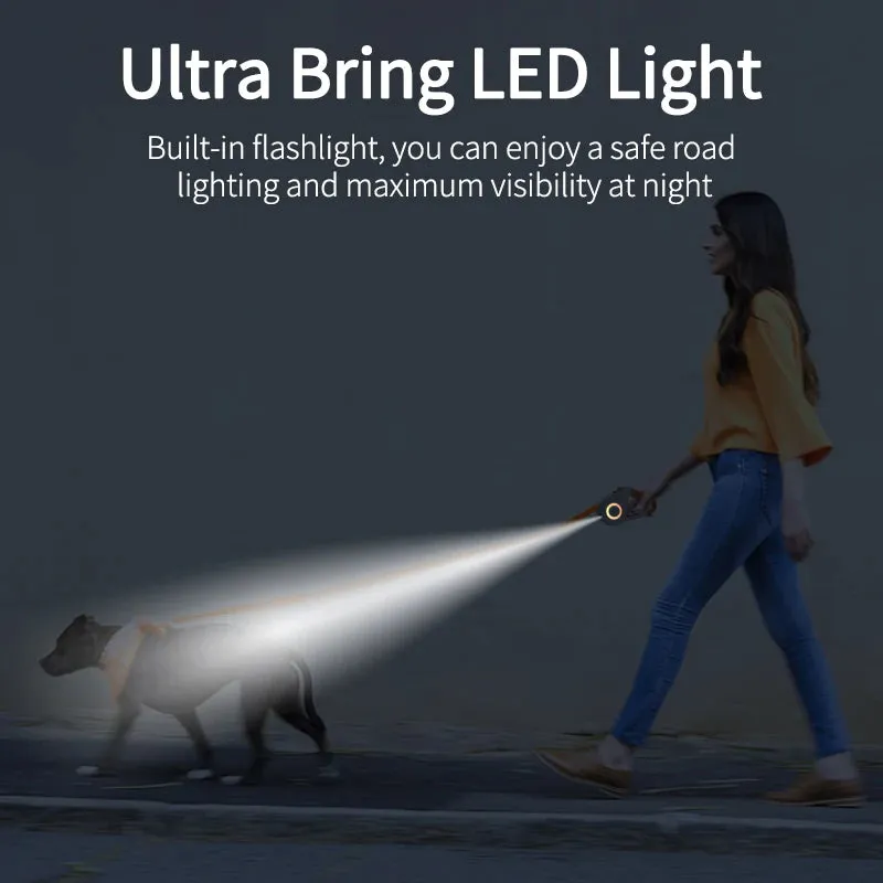 Luminous Dog Walking Rope