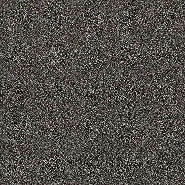 Luminous Residential Carpet