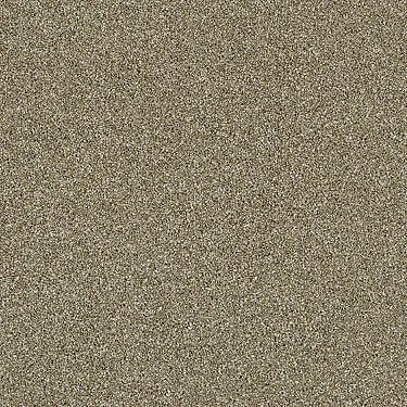Luminous Residential Carpet