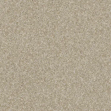 Luminous Residential Carpet