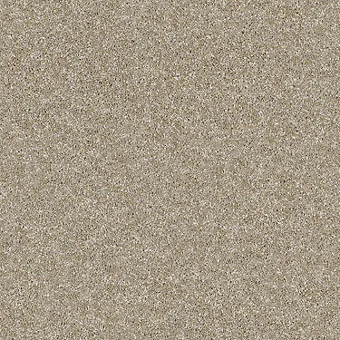 Luminous Residential Carpet
