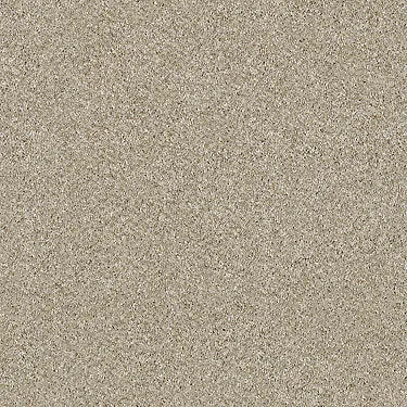 Luminous Residential Carpet