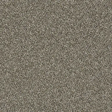 Luminous Residential Carpet