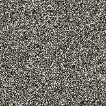 Luminous Residential Carpet