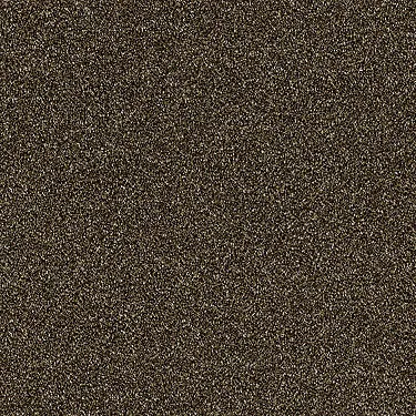 Luminous Residential Carpet