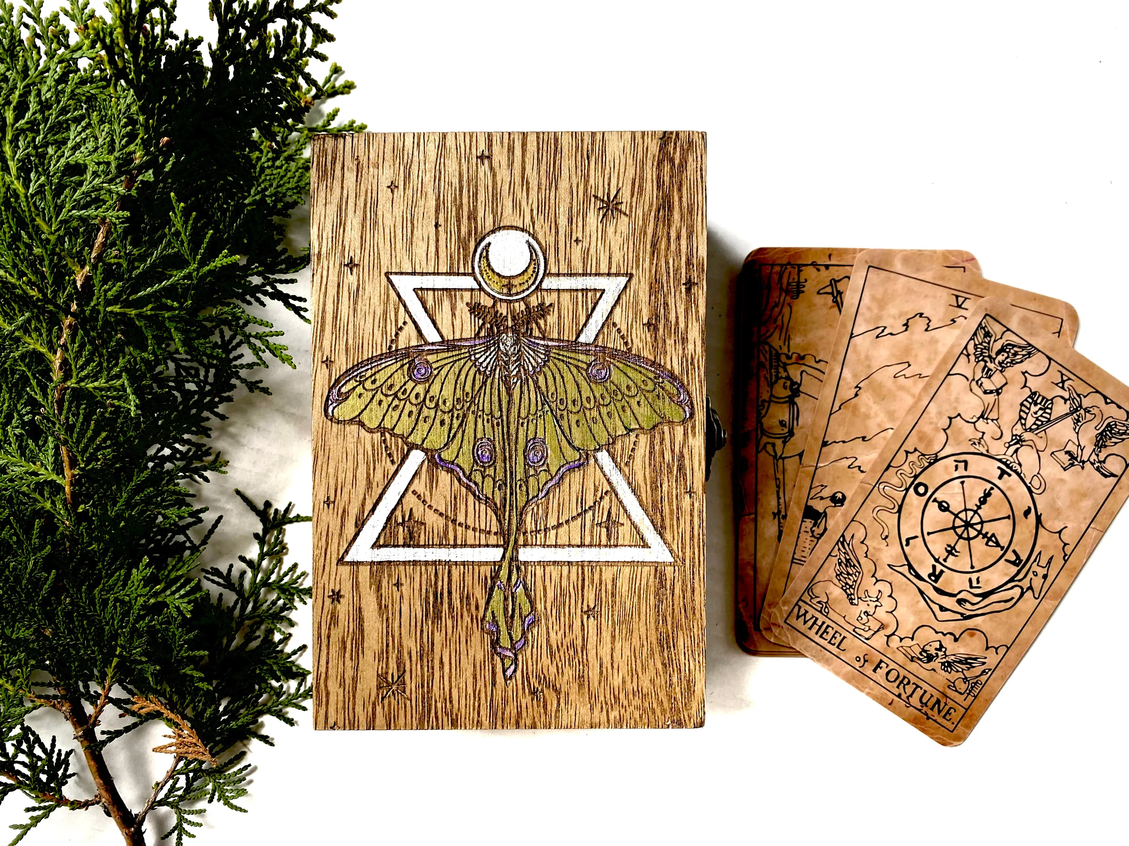 Luna Moth Tarot Box