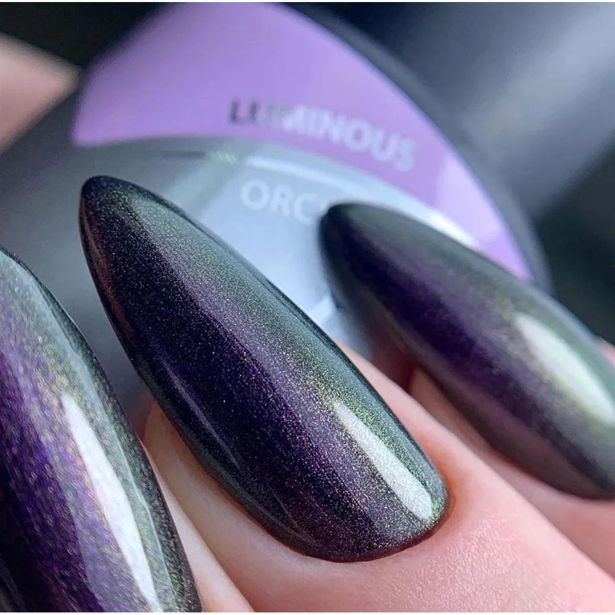Luxio Luminous Orchid