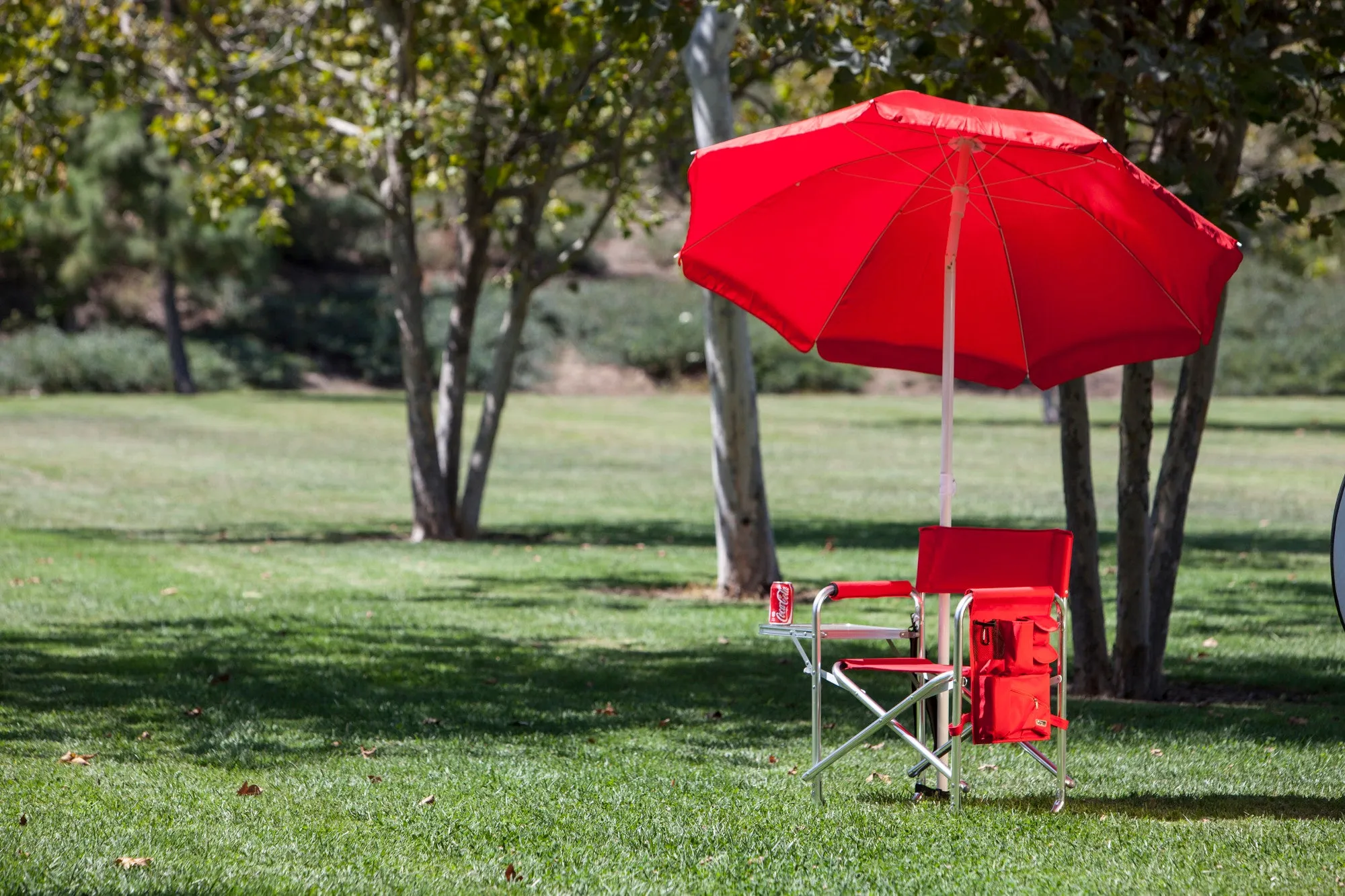 Maryland Terrapins - Sports Chair