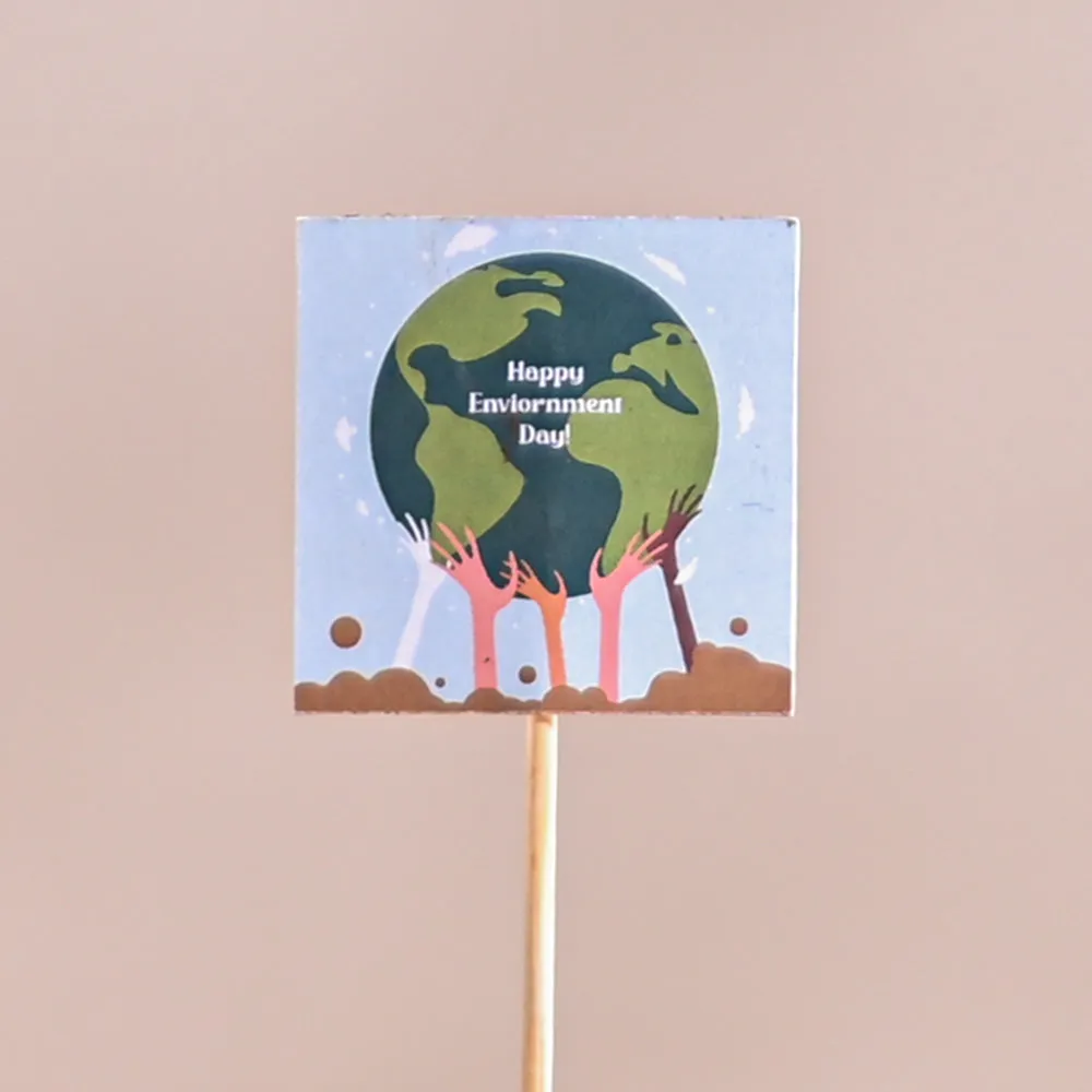 Money Plant Marble For Environment Day Gifting