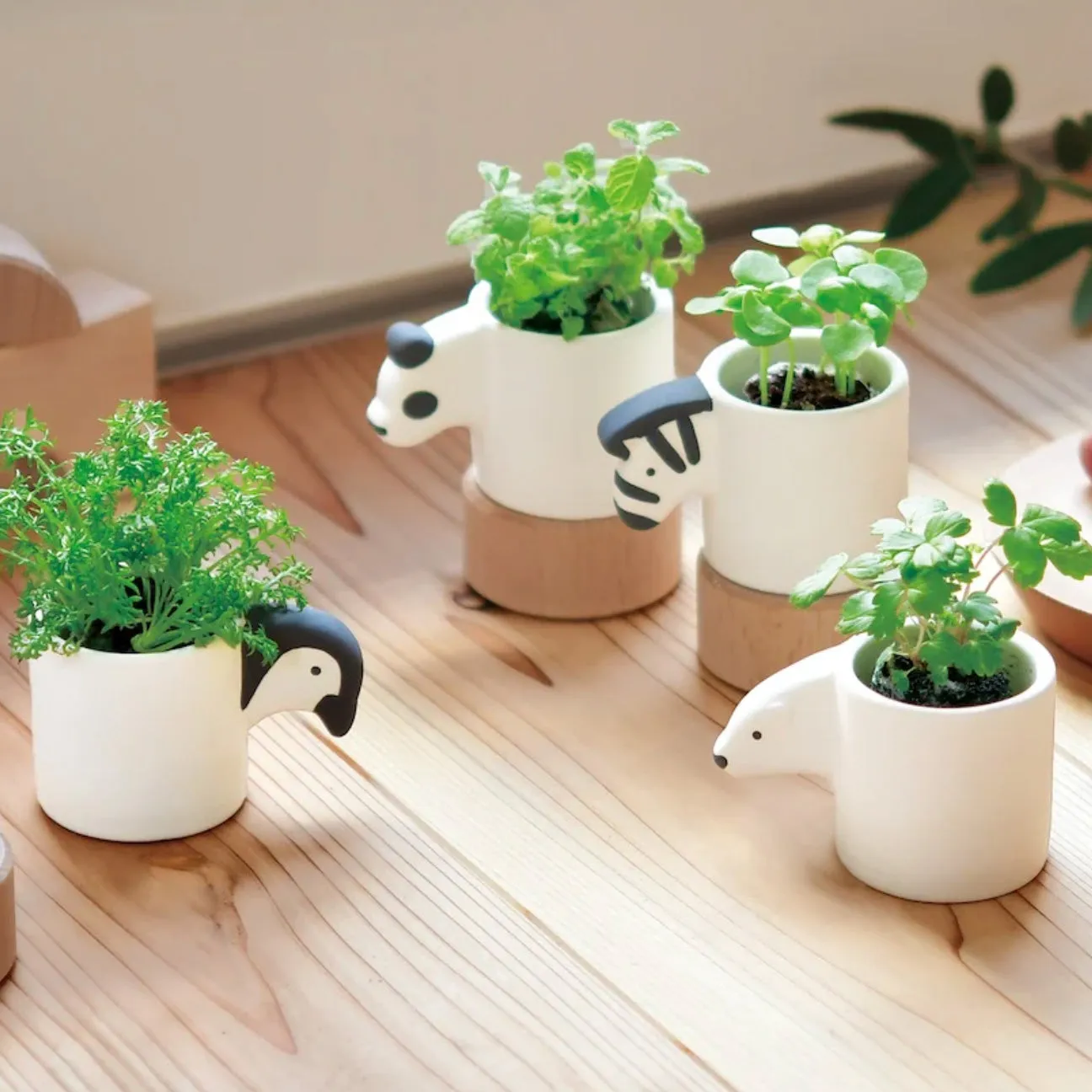 Monokuro Animal Plant Growing Kit (Assorted)
