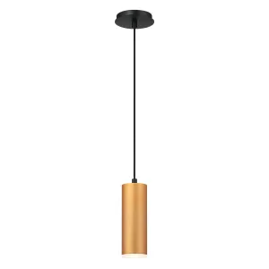 Neptune 3 in. LED Pendant Light Gold finish
