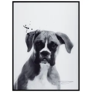 "Boxer" Black and White Pet Art on Printed Glass Encased with a Black Anodized Frame