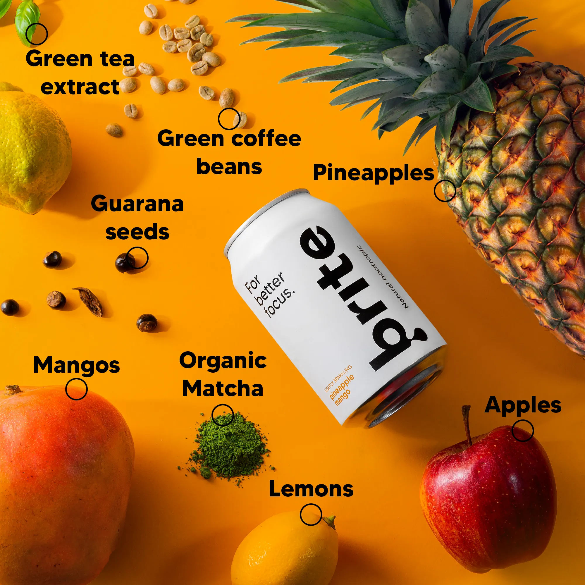 Saver Pack Nootropic Drinks