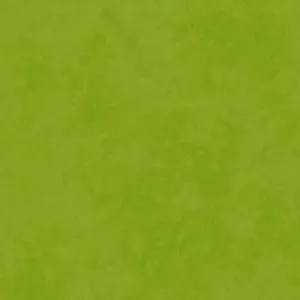 Shadowplay Graceful - Asparagus