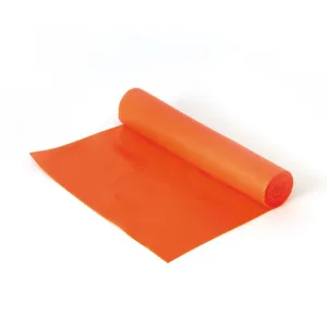 Sissel Fun & Active Resistance Band