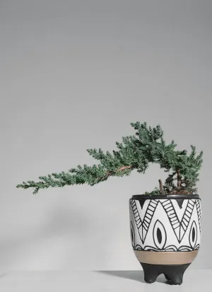 Synergistic Granite Clock
