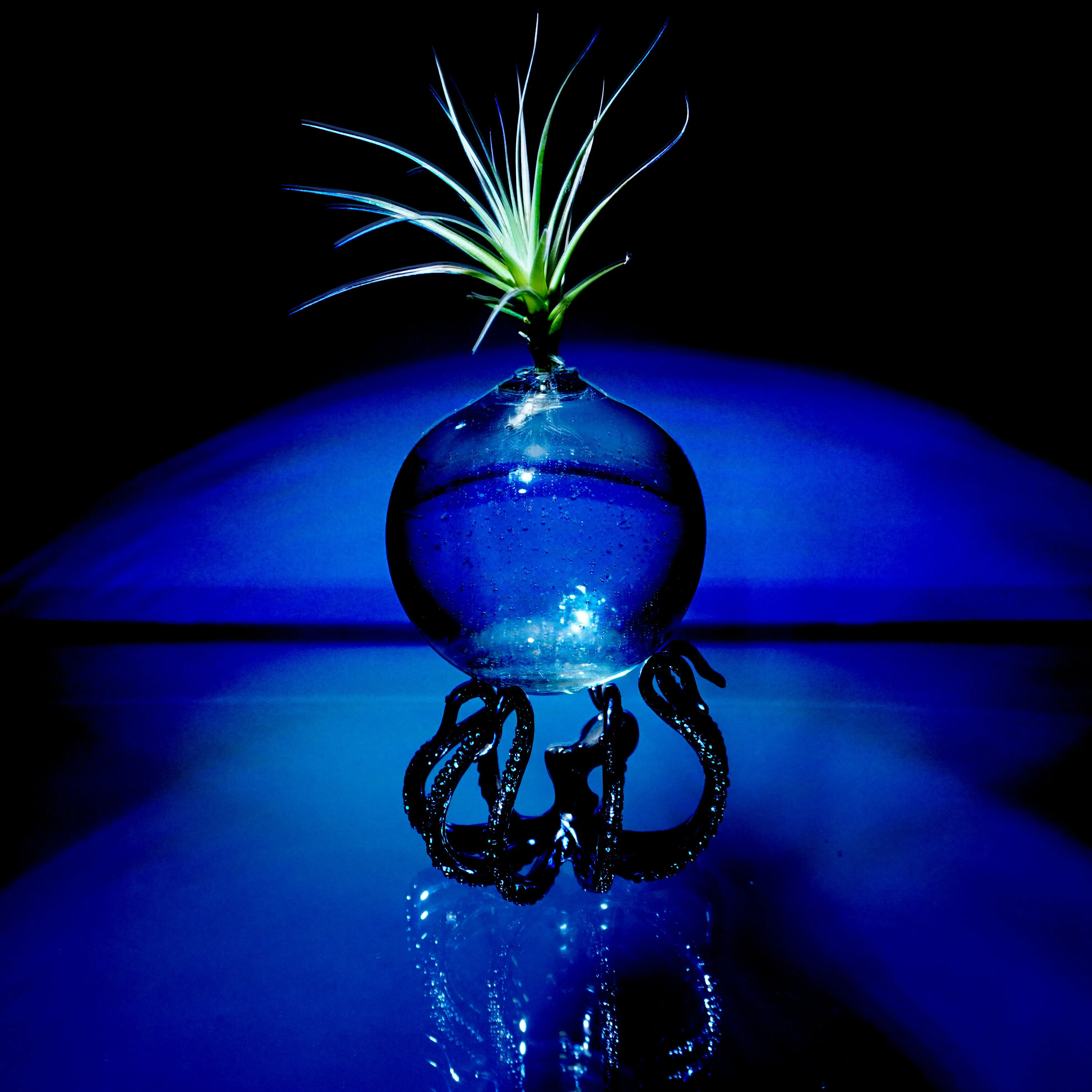 The OctoStand - Ocean-Themed Display Stand for Orbs, Plants and Ocean Decor