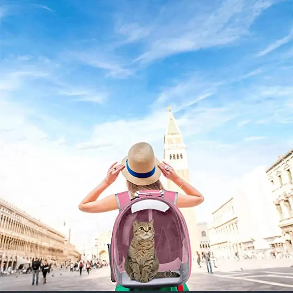 Transparent Capsule Cat Carrier Backpack - Breathable for Small Pets & Travel